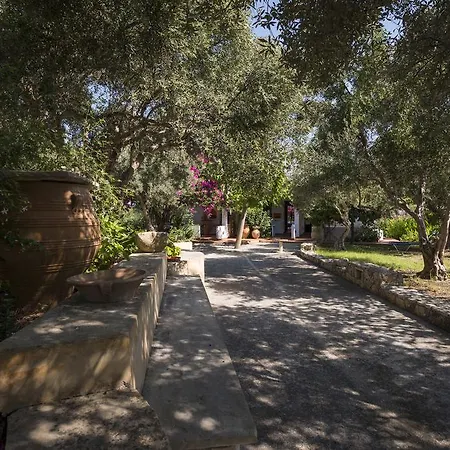 Orionas Village Kato Daratso