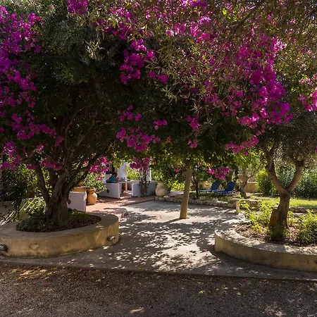 Apartment Orionas Village Kato Daratso
