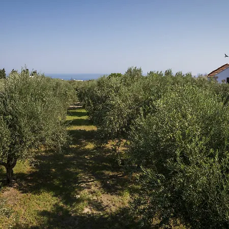 Orionas Village Apartment
